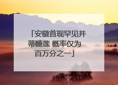 安徽首现罕见并蒂睡莲 概率仅为百万分之一