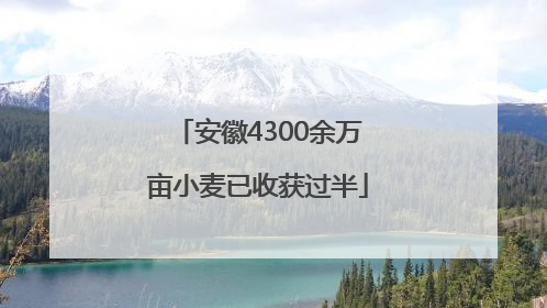 安徽4300余万亩小麦已收获过半