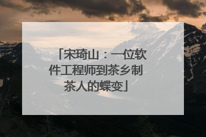 宋琦山：一位软件工程师到茶乡制茶人的蝶变