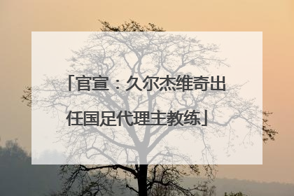 官宣：久尔杰维奇出任国足代理主教练