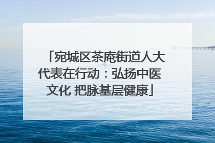 宛城区茶庵街道人大代表在行动：弘扬中医文化 把脉基层健康