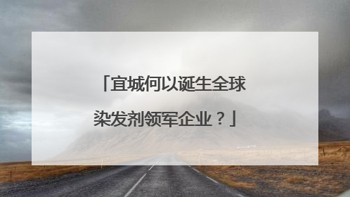 宜城何以诞生全球染发剂领军企业？