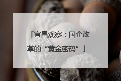 宜昌观察：国企改革的“黄金密码”