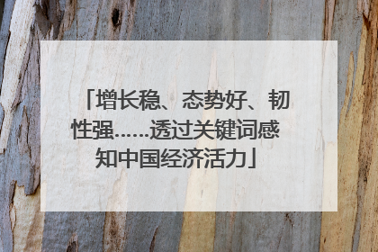 增长稳、态势好、韧性强……透过关键词感知中国经济活力