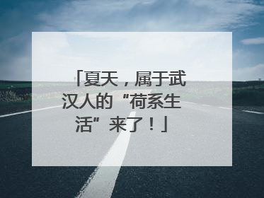 夏天，属于武汉人的“荷系生活”来了！