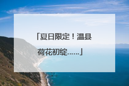 夏日限定！温县荷花初绽……