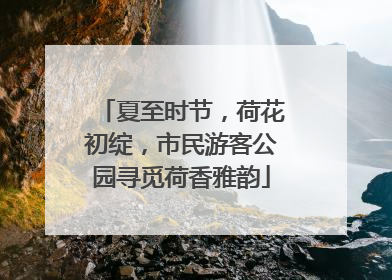 夏至时节，荷花初绽，市民游客公园寻觅荷香雅韵