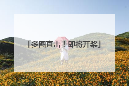 多图直击！即将开桨