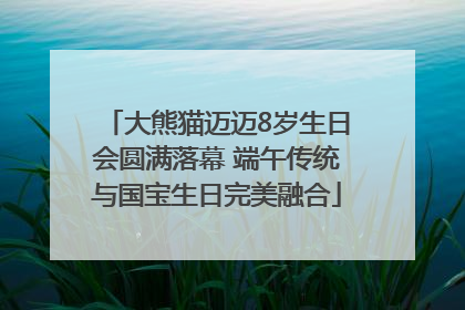 大熊猫迈迈8岁生日会圆满落幕 端午传统与国宝生日完美融合