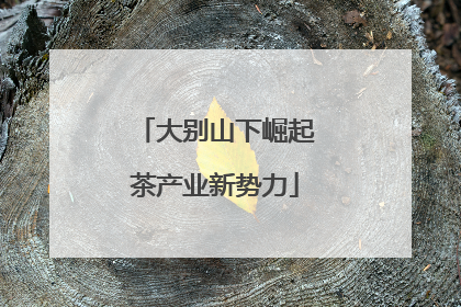 大别山下崛起茶产业新势力