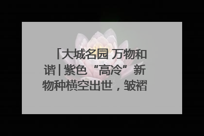 大城名园 万物和谐│紫色“高冷”新物种横空出世，皱褶叶片暗藏进化密码