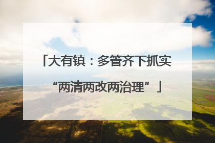 大有镇：多管齐下抓实“两清两改两治理”