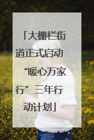 大栅栏街道正式启动“暖心万家行”三年行动计划
