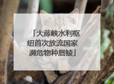 大藤峡水利枢纽首次放流国家濒危物种唇鲮