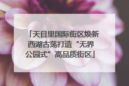 天目里国际街区焕新 西湖古荡打造“无界公园式”高品质街区