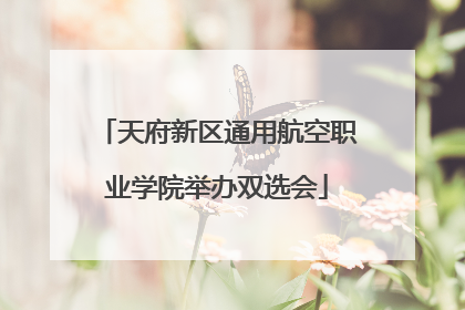 天府新区通用航空职业学院举办双选会