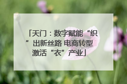 天门：数字赋能“织”出新丝路 电商转型激活“衣”产业