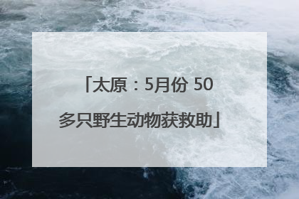 太原：5月份 50多只野生动物获救助
