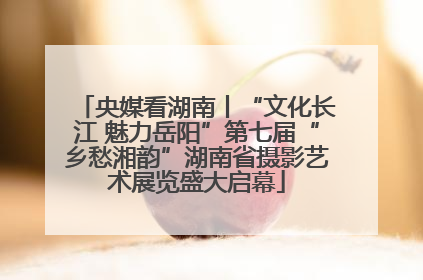央媒看湖南丨“文化长江 魅力岳阳”第七届“乡愁湘韵”湖南省摄影艺术展览盛大启幕