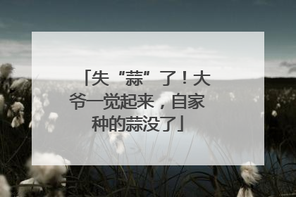 失“蒜”了！大爷一觉起来，自家种的蒜没了