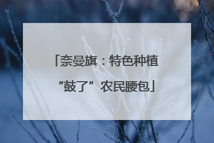 奈曼旗：特色种植“鼓了”农民腰包