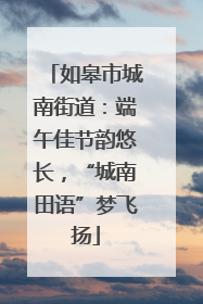 如皋市城南街道：端午佳节韵悠长，“城南田语”梦飞扬