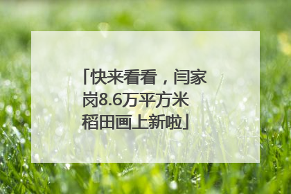 快来看看，闫家岗8.6万平方米稻田画上新啦