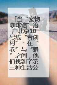 当“宠物咖啡馆”落户北京10号线“青创村”：在“卷”与“躺”之间，他们找到了第三种生活公式