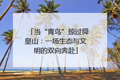 当“青鸟”掠过舜皇山：一场生态与文明的双向奔赴