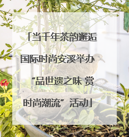 当千年茶韵邂逅国际时尚安溪举办“品世遗之味 赏时尚潮流”活动