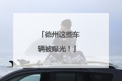 德州这些车辆被曝光！