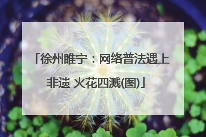 徐州睢宁：网络普法遇上非遗 火花四溅(图)