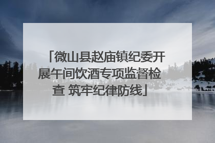 微山县赵庙镇纪委开展午间饮酒专项监督检查 筑牢纪律防线