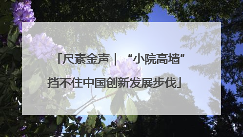 尺素金声｜“小院高墙”挡不住中国创新发展步伐