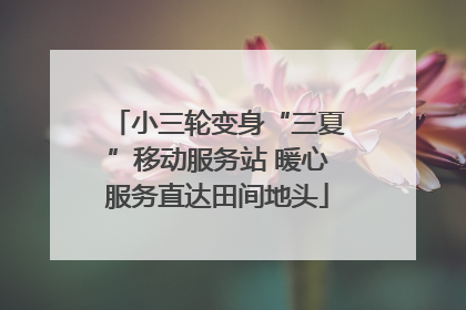 小三轮变身“三夏”移动服务站 暖心服务直达田间地头