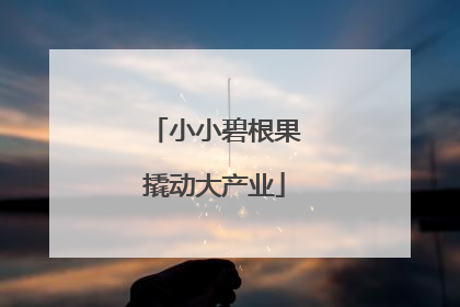 小小碧根果撬动大产业