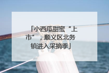 小西瓜甜蜜“上市”，顺义区北务镇进入采摘季