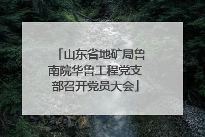 山东省地矿局鲁南院华鲁工程党支部召开党员大会