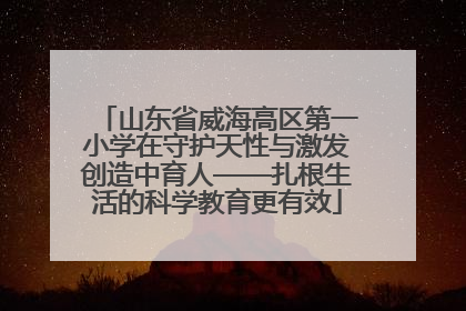 山东省威海高区第一小学在守护天性与激发创造中育人——扎根生活的科学教育更有效