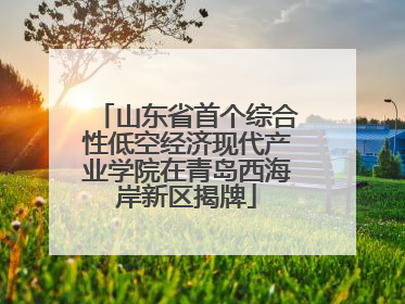 山东省首个综合性低空经济现代产业学院在青岛西海岸新区揭牌
