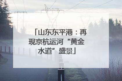 山东东平港：再现京杭运河“黄金水道”盛景