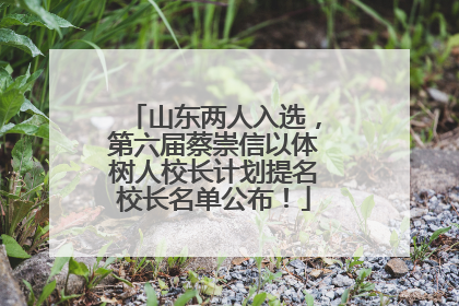 山东两人入选，第六届蔡崇信以体树人校长计划提名校长名单公布！