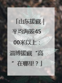 山东援藏｜平均海拔4500米以上：淄博援藏“高”在哪里？