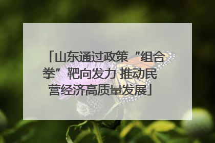 山东通过政策“组合拳”靶向发力 推动民营经济高质量发展
