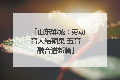 山东郓城：劳动育人结硕果 五育融合谱新篇