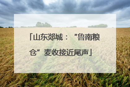 山东郯城：“鲁南粮仓”麦收接近尾声