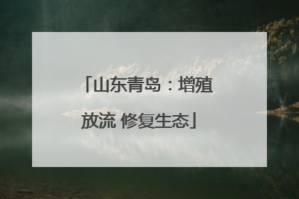 山东青岛：增殖放流 修复生态