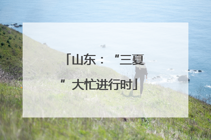 山东：“三夏”大忙进行时