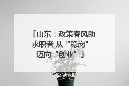 山东：政策春风助求职者 从“稳岗”迈向“创业”