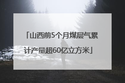 山西前5个月煤层气累计产量超60亿立方米